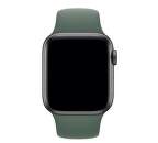Apple Watch 40 mm sportovní řemínek S/M a M/L, zelená
