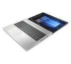 HP ProBook 450 G6 (6HL95EA) stříbrný