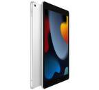 iPad Wi-Fi + Cellular 64 GB - Silver