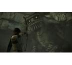 SONY Shadow of Colossus, PS4 hra_02