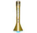 IDANCE Party Mic 10 Gold