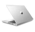 HP ProBook 450 G6 (6HL95EA) stříbrný