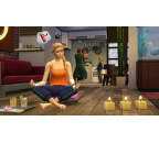 PC The Sims 4 Bundle #1