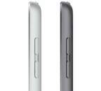 iPad Wi-Fi + Cellular 256 GB - Silver