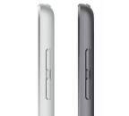 iPad Wi-Fi + Cellular 256 GB - Space Grey