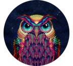 PopSocket Owl02