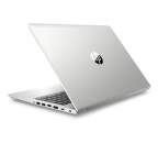 HP ProBook 455 G7 (12X21EA) stříbrný