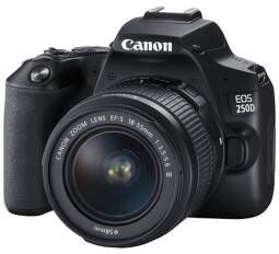 Canon EOS 250D + EF-S 18-55mm f/3.5-5.6 DC III, černý