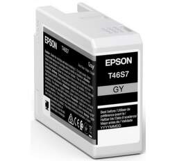 Epson T46S7 Gray