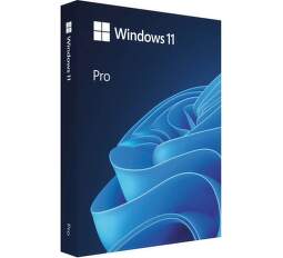 Microsoft Windows 11 PRO EN USB (HAV-00163)