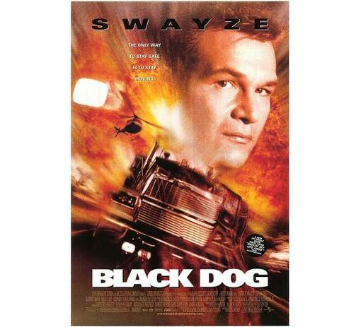 DVD F -  Black Dog